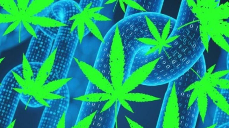 Why-Blockchain-and-AI-Could-Be-the-Next-Game-Changing-Technologies-for-the-Cannabis-Industry-AlexaBlockchain
