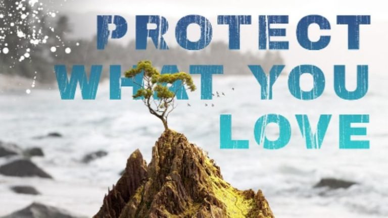 PangeaSeed Foundation Launching 'Protect What You Love' NFT Collection on Kalamint - AlexaBlockchain