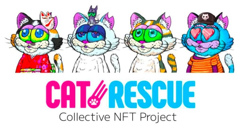 W3 Fortune Raises 120 Million Yen In Funding First release will be CatRescue collectible NFTs