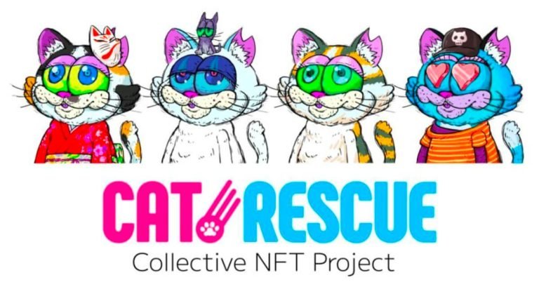 W3 Fortune Raises 120 Million Yen In Funding First release will be CatRescue collectible NFTs