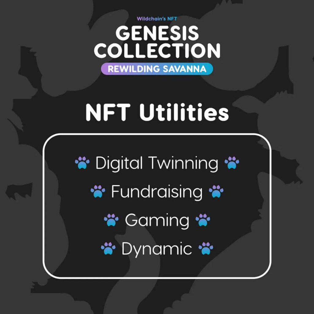 Wildchain NFT collection tool