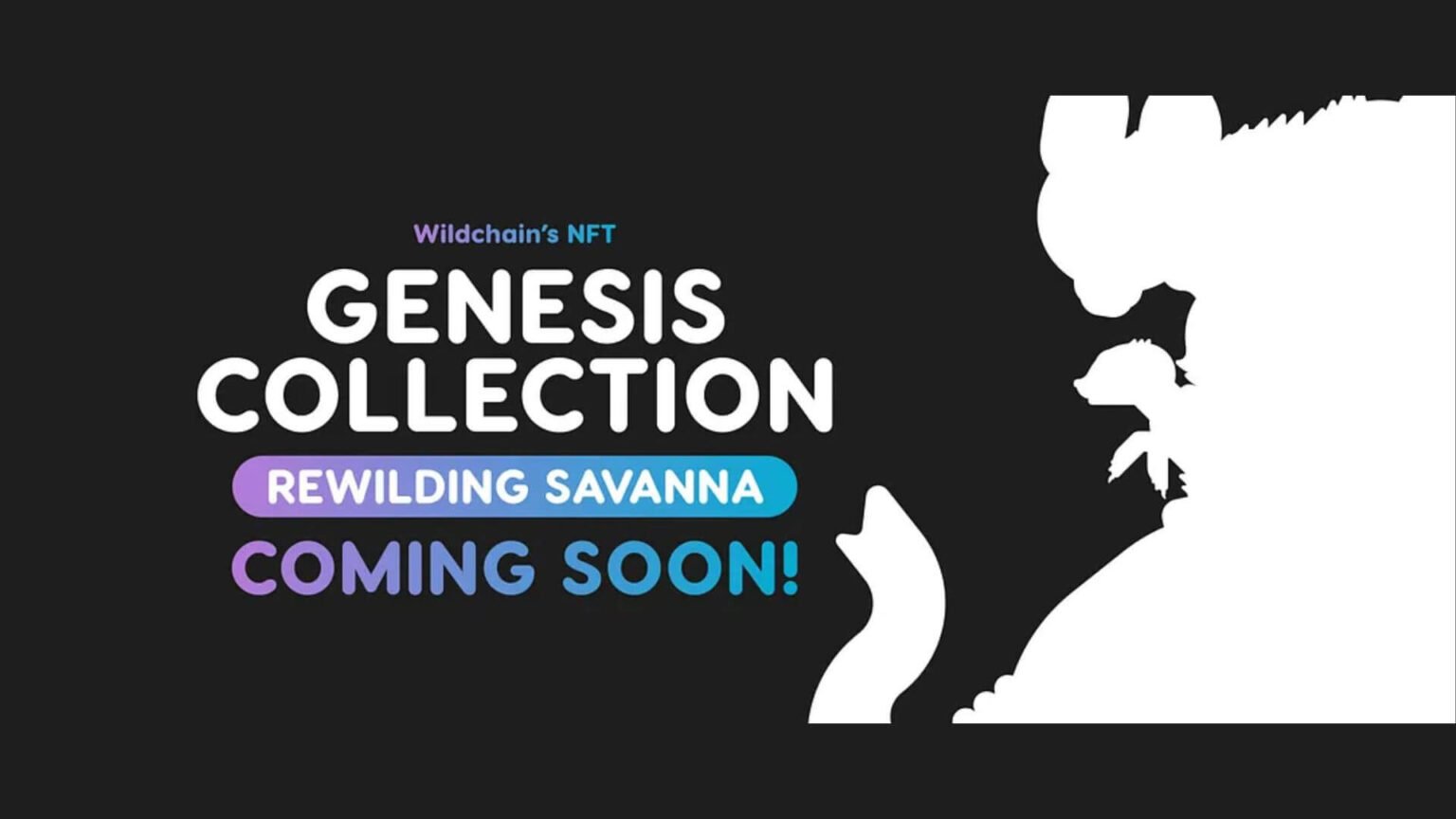 Wildchain launches Genesis NFT Collection ‘Rewilding Savanna’ that supports wildlife conservation