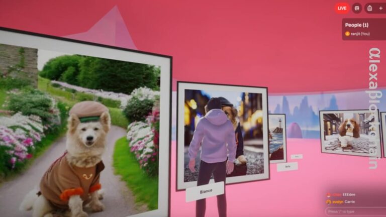 Launching the Doris Metaverse A New Era in Dog Rescue and Adoption