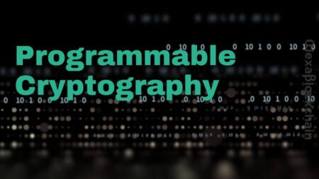 What is Programmable Cryptography Concepts, Applications, and Future Prospects