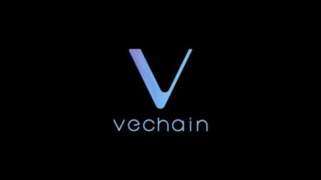 VeChain Launches Cross-Chain Bridge via Wanchain Integration